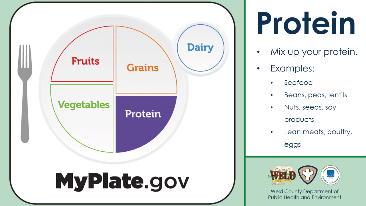 National Nutrition Month Slide: Protein