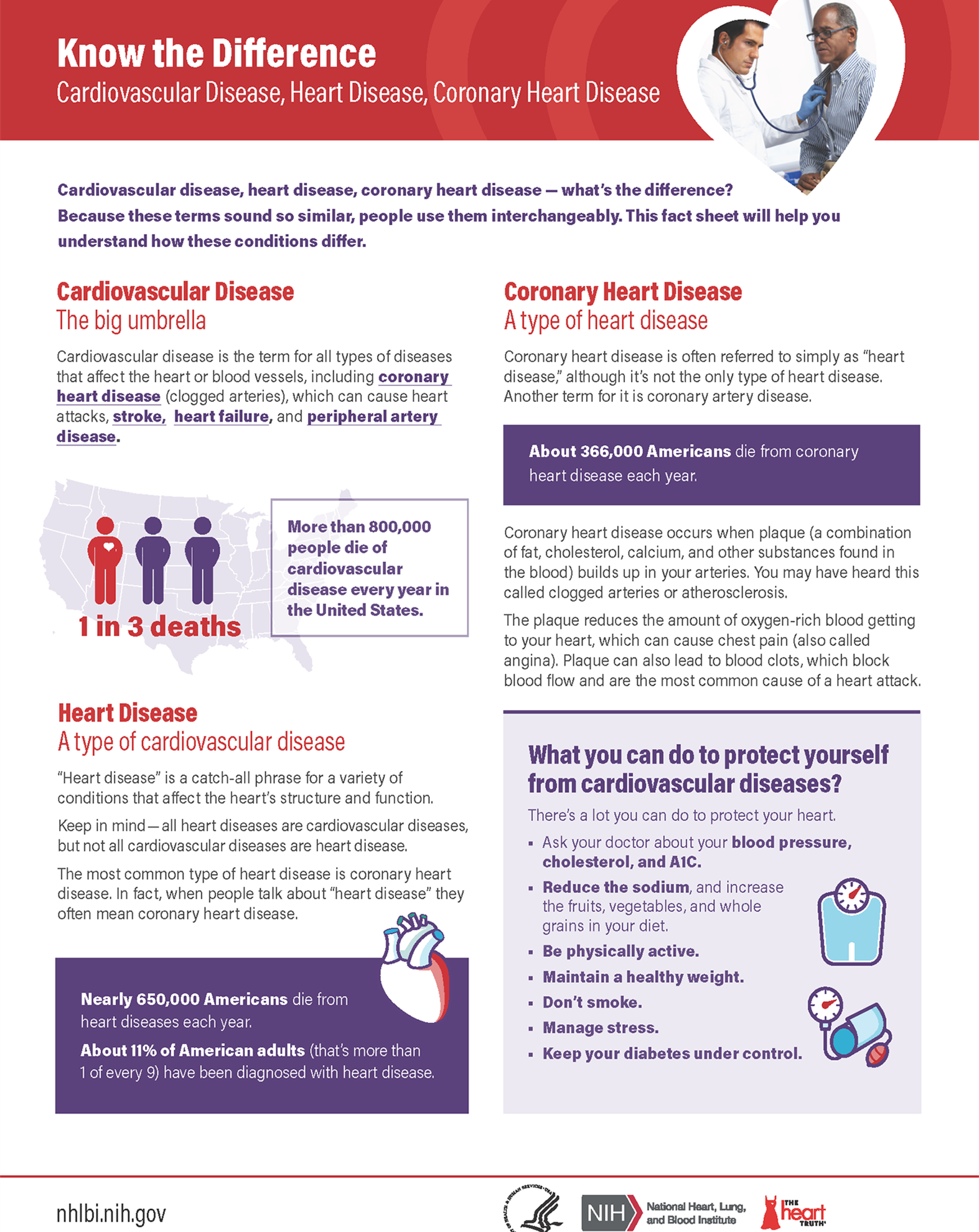 Fact Sheet: Know the Differences of Cardiovascular Disease
