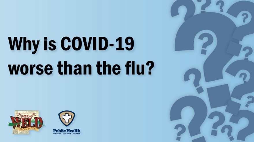 Why is COVID 19 worse than the flu?