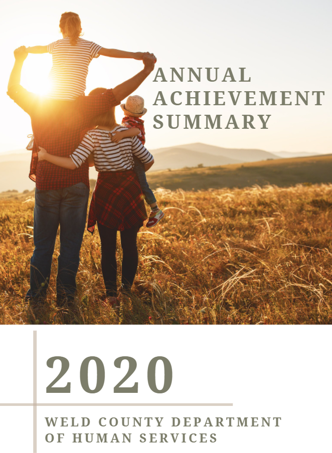 Annual Achievement Summary 2020