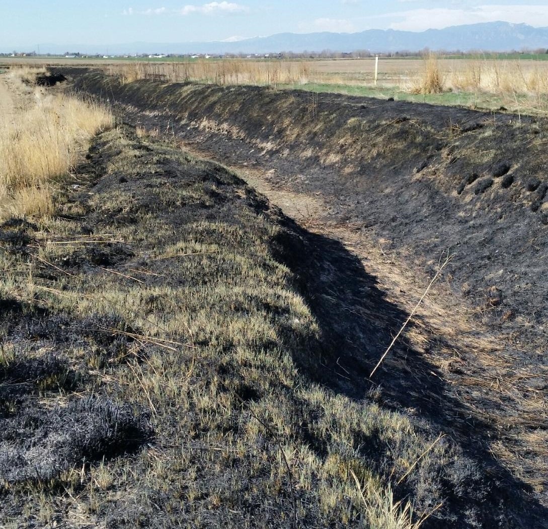 Spring burned ditch