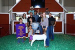 Junior Livestock Sale raises $1.3M, shattering previous record