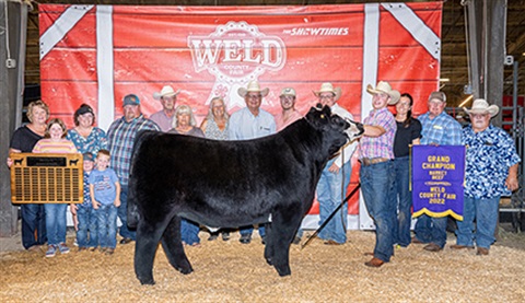 Grand Champion Market Beef Cow with owner Cal Sidwell at 104th Weld County Fair Jr. Livestock Sale